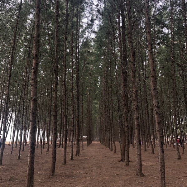 Photos At Pantai Senok Beach