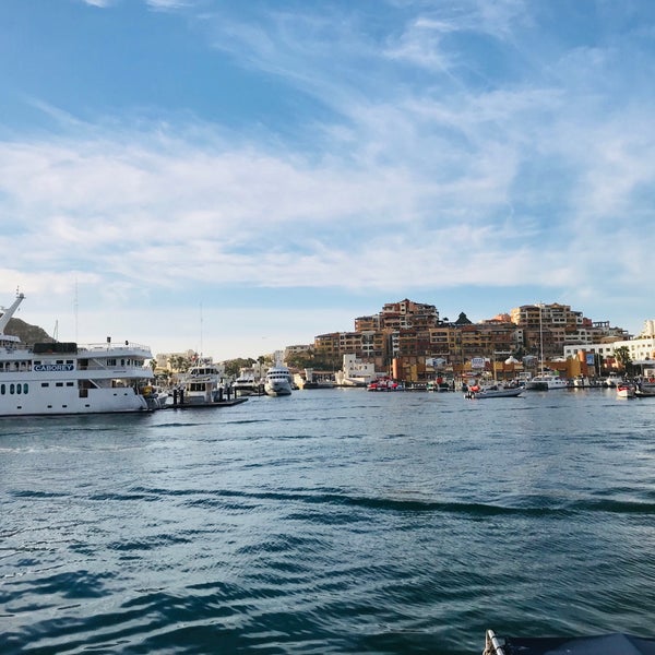 1/13/2018 tarihinde Jose Luis P.ziyaretçi tarafından Cabo Escape Tours'de çekilen fotoğraf