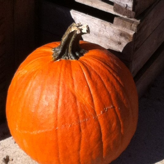 Photos at Whole Foods Market Vienna, VA