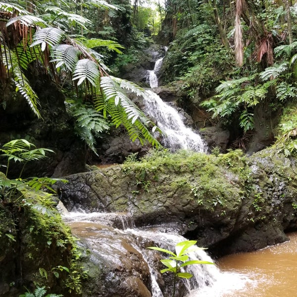 รูปภาพถ่ายที่ Hawaii Tropical Botanical Garden โดย Jorge R. เมื่อ 7/27/2021