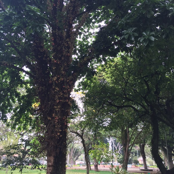 Praça Sinésio Martins - 1 tip