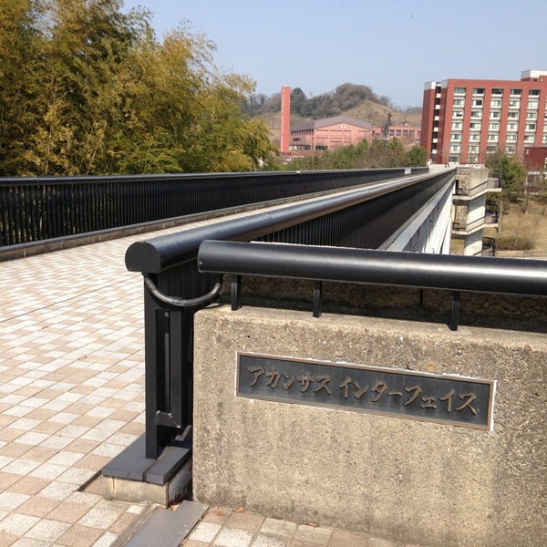 アカンサス 金沢 大学