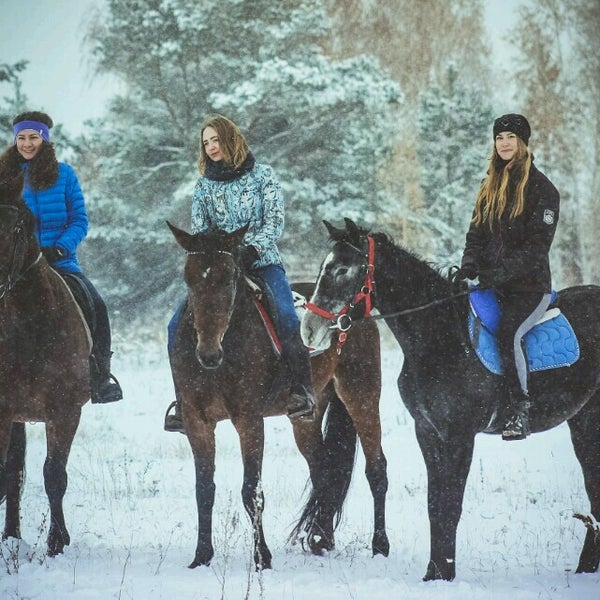 Ивановское конно спортивный комплекс официальный. Кск ямалец. Красноселькуп ямало-ненецкий автономный округ. Конкур. Кск казань.