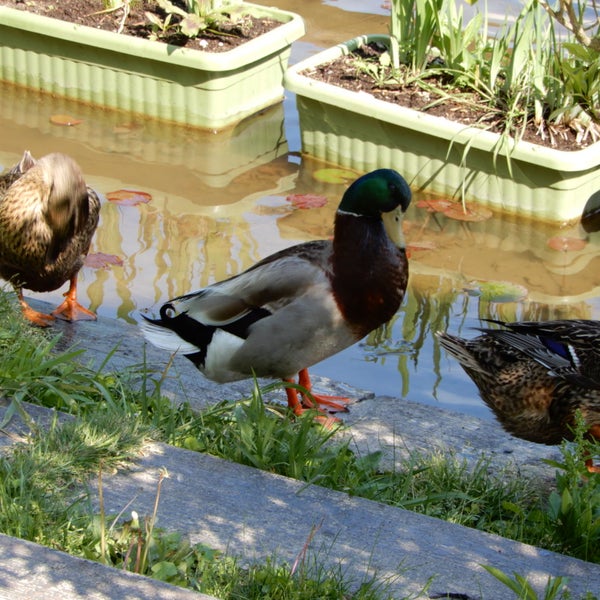 Fotos Em 光の丘水辺公園 横須賀 1 Dica De 62 Clientes Fotos Em 光の丘水辺公園 横須賀 1 Dica De 62 Clientes