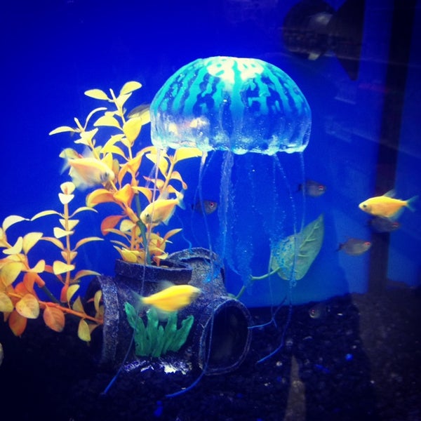 soldan's feeds & pet supplies