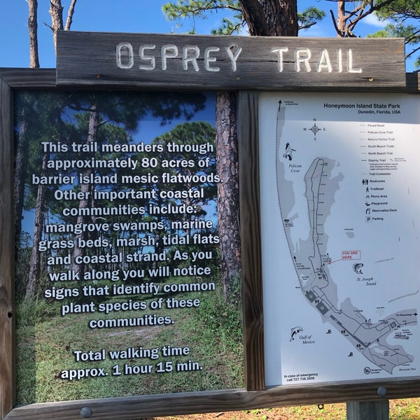 Honeymoon Island Nature Trail 2 tips