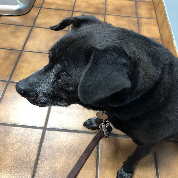 VCA Santa Anita Animal Hospital - Monrovia, CA VCA Santa Anita Animal Hospital - Monrovia, CA