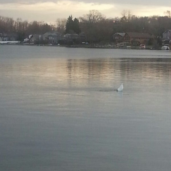 Photos at Mercer Beach Beach in Walled Lake