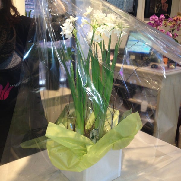 Westmount Florist Montréal, QC