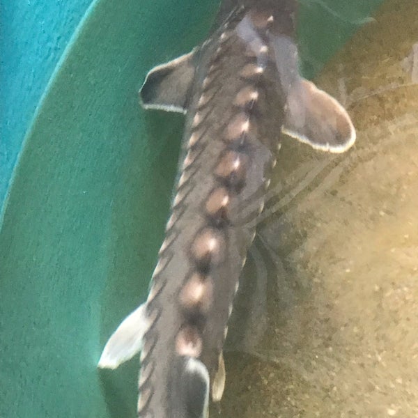 Maine State Aquarium Aquarium