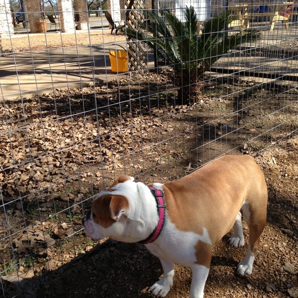 1/20/2013 tarihinde Kathleen K.ziyaretçi tarafından Dog House Drinkery Dog Park'de çekilen fotoğraf