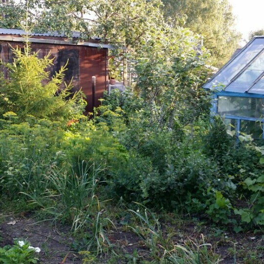 Сад В Бутаках Челябинск Купить