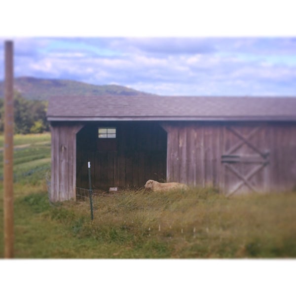 Photo taken at Fishkill Farms by Lisa G. on 9/24/2019