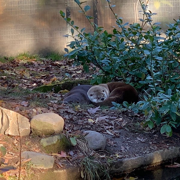 Photo taken at Prospect Park Zoo by Benjamin H. on 12/12/2021
