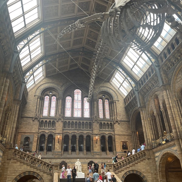 Natural History Museum Ice Rink