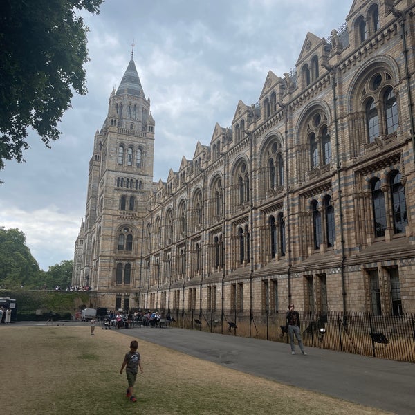Natural History Museum Ice Rink