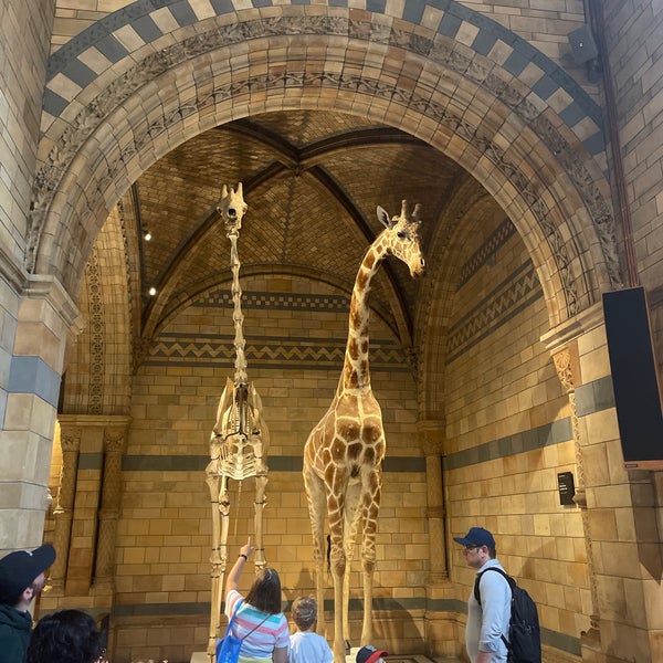 Natural History Museum Ice Rink