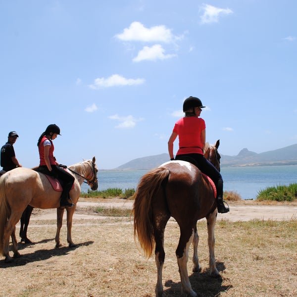 Lasciatevi accompagnare attraverso gli scenari più incontaminati della Sardegna....www.horsecountry.it ‪#‎WeLoveHorses‬ ‪#‎horsecountryresort‬ ‪#‎vacanze‬ ‪#‎estate‬ ‪#‎Sardegna‬ ‪#‎relax‬‬ ‪#‎horses‬