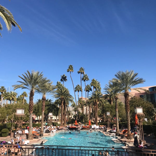 mgm pool phone number