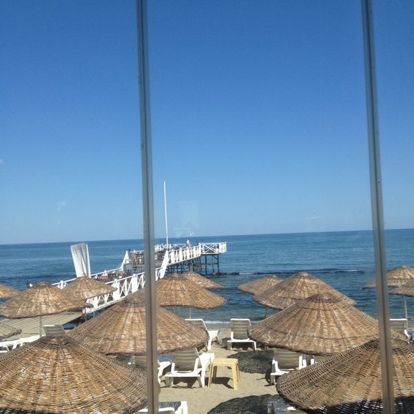 Shaya Beach Cafe & Restaurant Restoran�da fotoğraflar