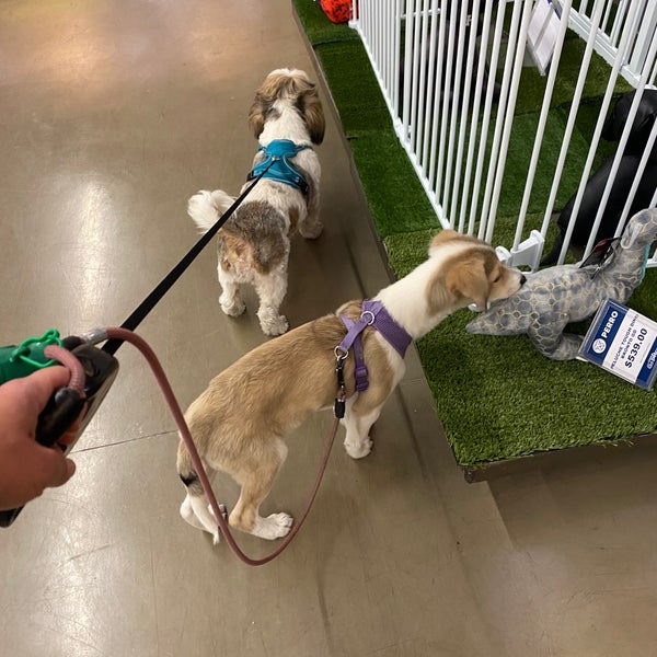 Petco San Antonio Nonoalco Mixcoac 21 tips