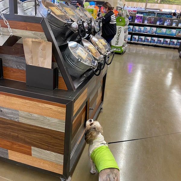 Petco San Antonio Nonoalco Mixcoac 21 tips