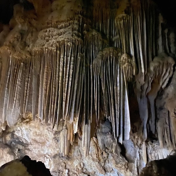 Снимок сделан в Lake Shasta Caverns пользователем Ying L. 4/28/2024