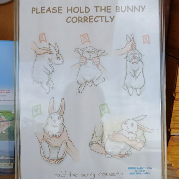 Photos At Ranau Rabbit Farm Ranau Sabah