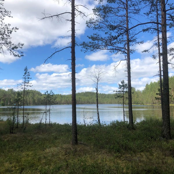 Озеро лебяжье фото Мэрия Казани пообещала заполнить водой озеро Лебяжье к декабрю