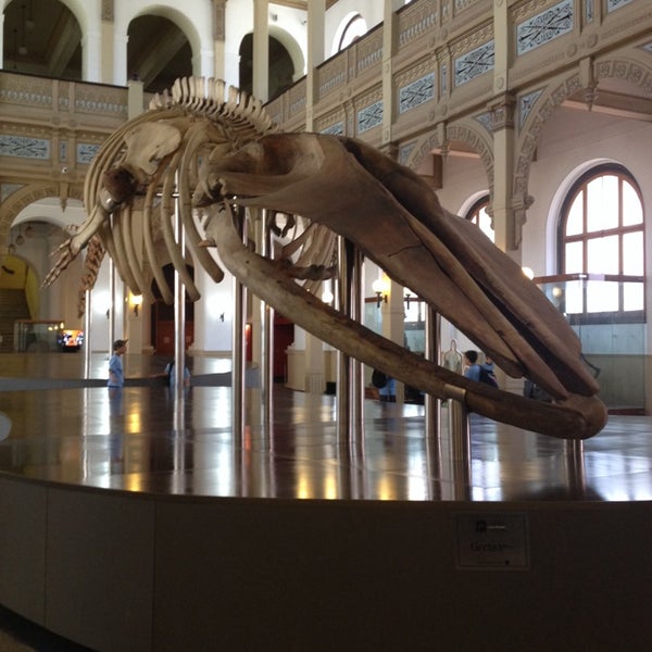 Photo taken at Museo Nacional de Historia Natural by Karine on 11/28/2013