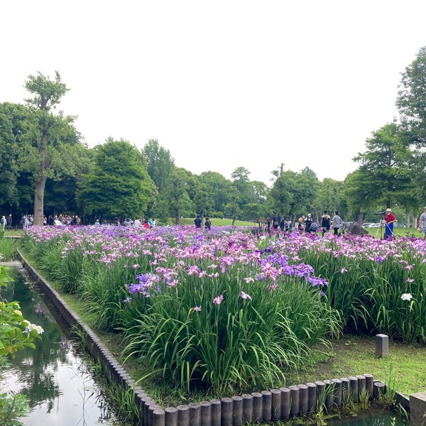 Photos At 水元公園 花菖蒲広場 葛飾区 東京都