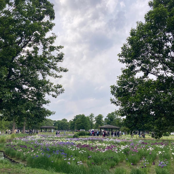 Photos At 水元公園 花菖蒲広場 葛飾区 東京都