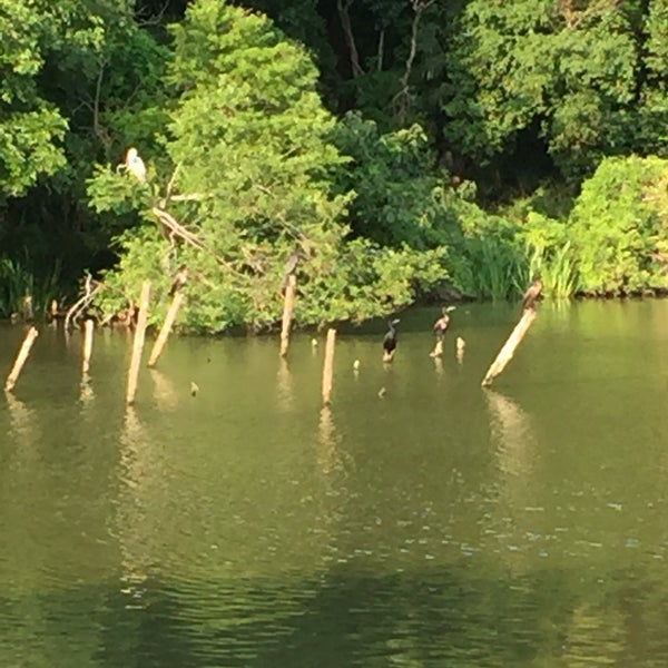 Photos At 水元公園バードサンクチュアリ