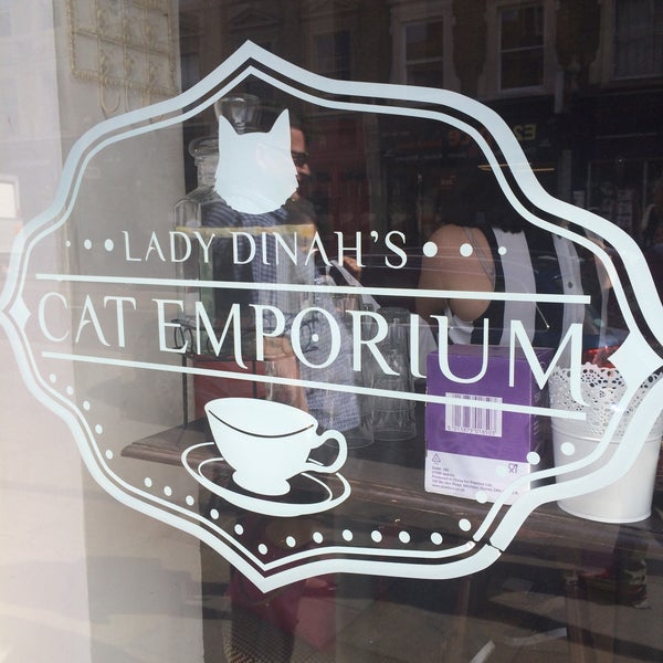รูปภาพถ่ายที่ Lady Dinah&#39;s Cat Emporium โดย Helen M. เมื่อ 6/27/2015