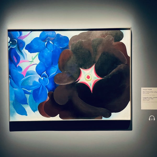 รูปภาพถ่ายที่ Georgia O&#39;Keeffe Museum โดย Mingyu L. เมื่อ 10/12/2022