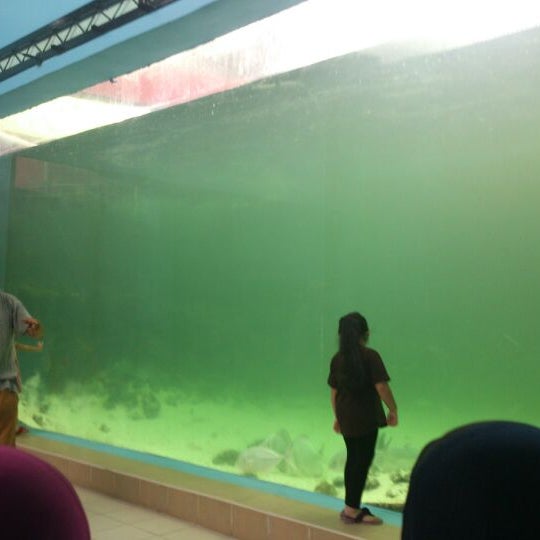 Green connection aquarium