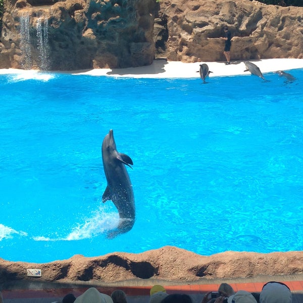Photo taken at Loro Parque by SuperDetka🐾 on 4/26/2013