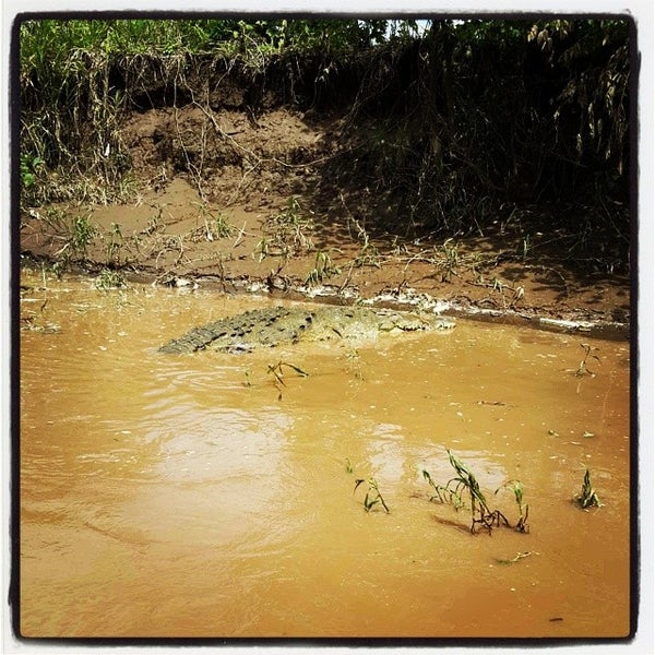 Photo taken at Jungle Crocodile Safari by Julio R. on 10/26/2013