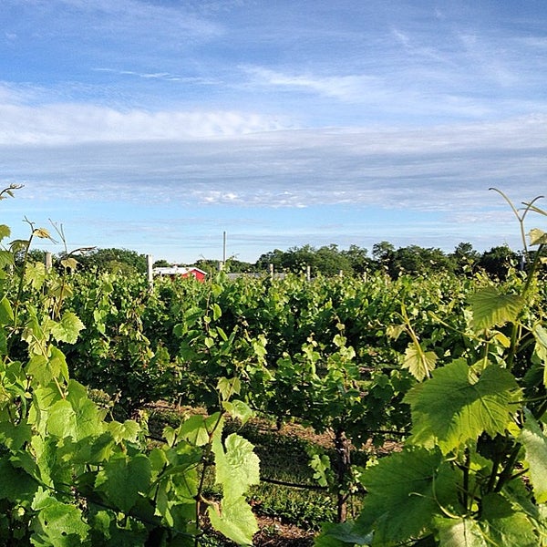 Sparkling Pointe Vineyards Winery