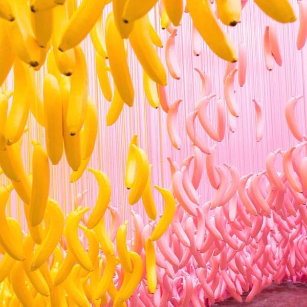 Museum of Ice Cream (Now Closed) Downtown Los Angeles Los Angeles, CA