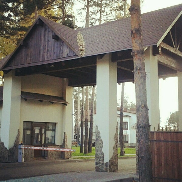 лесные тропы шварцвальд. заповедник кологривский лес фотографии. брянск заповедник брянский лес. заповедный лес 6. заповедный лес.