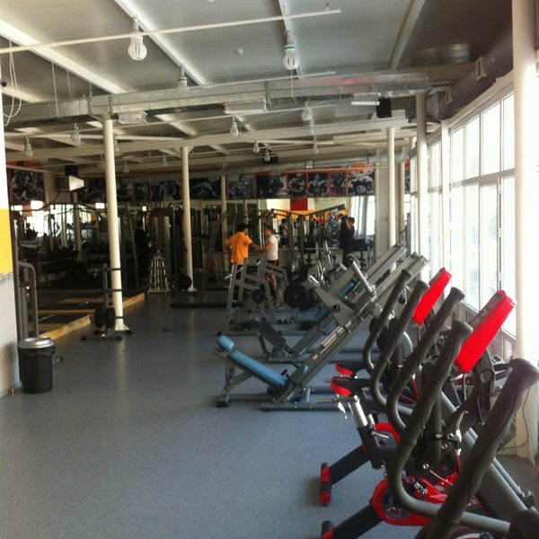 Ооо спорт профессионал. Pro Gym Санкт-Петербург. Gym Sport Pro. Спорт зал в Патрушевской больнице. Спорт зал Жаконя на конной.