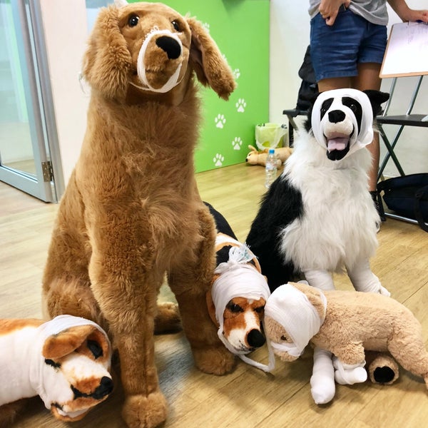 dog haven grooming salon