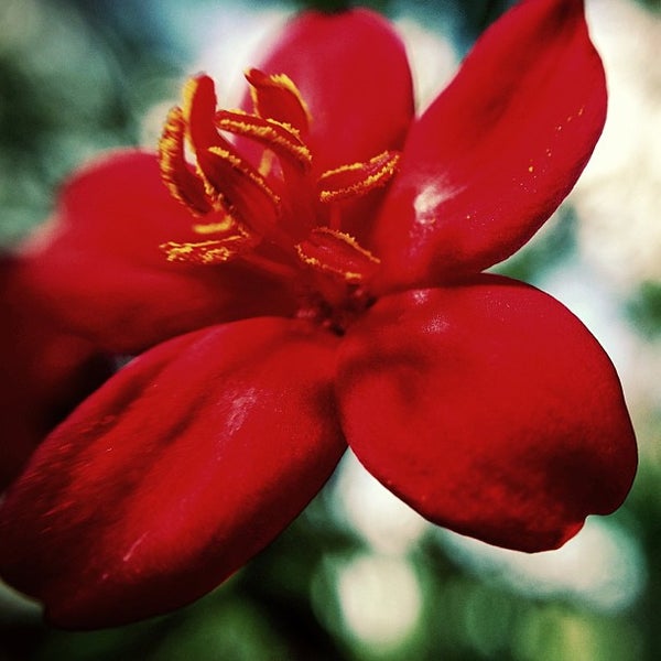 Lakewood Ranch, FL Lakewood Lakewood Ranch, FL