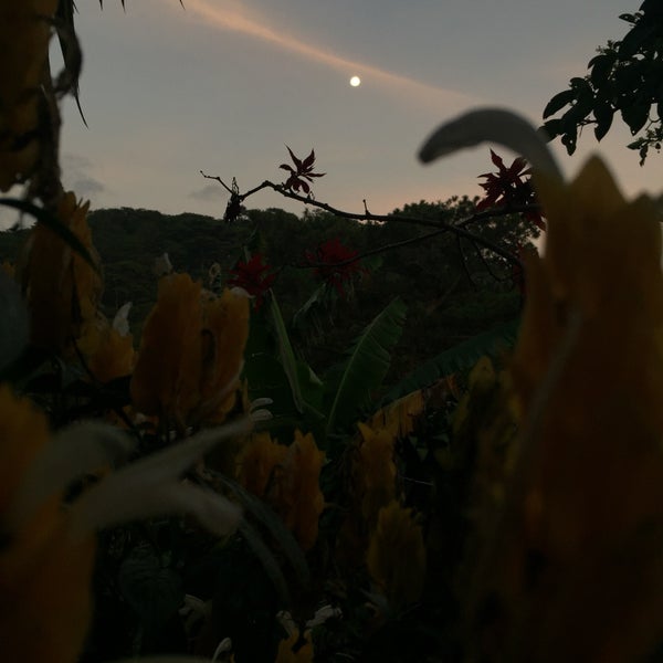 Scout Barrio Lungsod ng Baguio, Baguio City