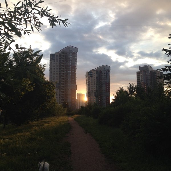 Парк никулинской аллеи. Где аллея испытателей. Устюжна левая набережная березовая аллея. Где аллея испытателей. Тропарево никулино парк памятник.