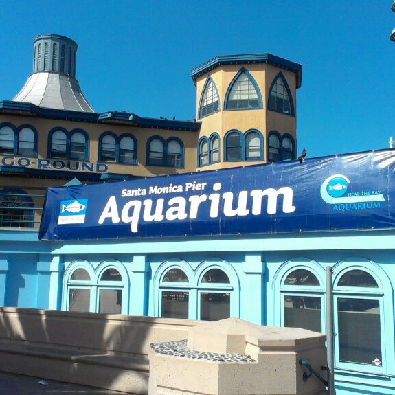 Foto tirada no(a) Santa Monica Pier Aquarium por Camera G. em 4/8/2013