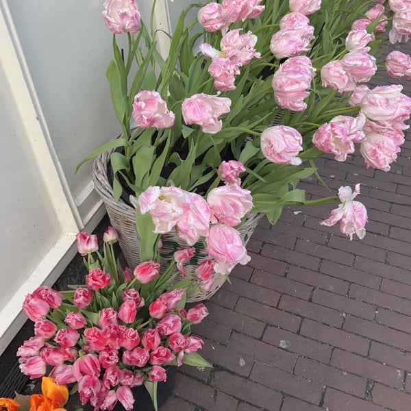 Photo taken at Amsterdam Tulip Museum by M..80’s🇸🇦 - 🇮🇹 on 3/11/2023