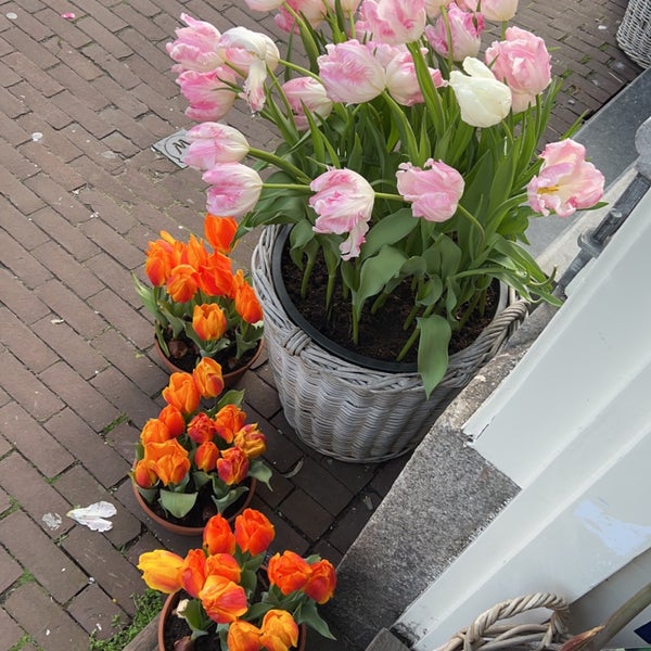 Das Foto wurde bei Amsterdam Tulip Museum von M..80’s🇸🇦 - 🇮🇹 am 3/11/2023 aufgenommen