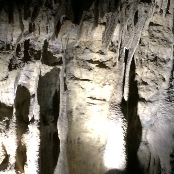 7/31/2017에 Yves D.님이 Le Domaine des Grottes de Han / Het Domein van de Grotten van Han에서 찍은 사진